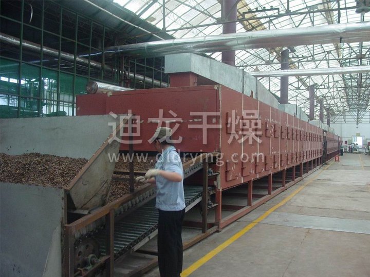 脱水蔬菜带式干燥机